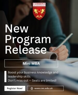 🎓 Mini MBA Programme