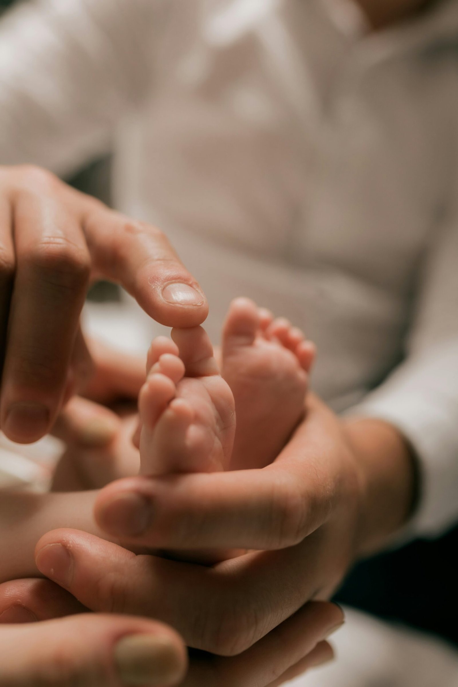 pexels-photo-35119979-35119979